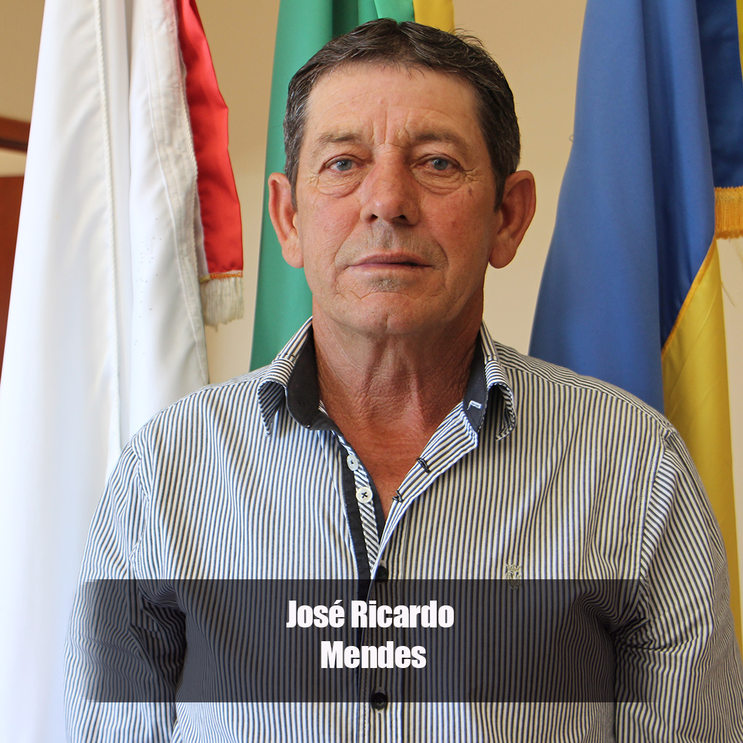 JOSÉ RICARDO MENDES