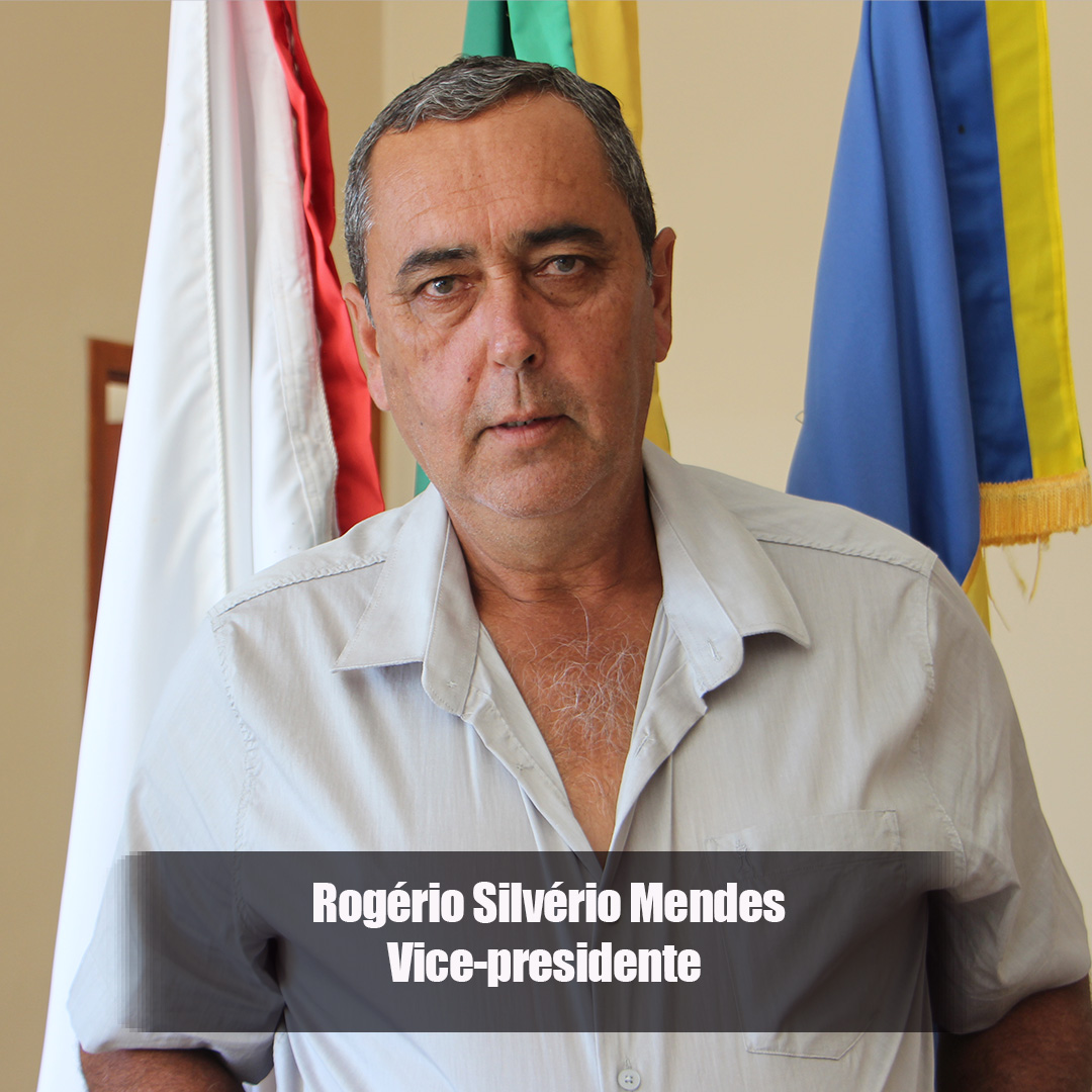 ROGERIO VICE